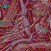 Darkly Darkly Venous Aperta [Demo]