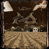 ca051 - maguett - garden in my cellar