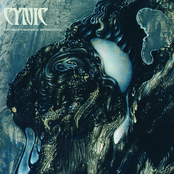 Amidst The Coals by Cynic