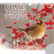 Restore The Central Nervous System (with singing of birds)