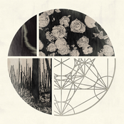 Organic Emotions, Vol. 2