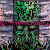 Beneath the Alum Shale