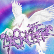 Wizards & Raptors Injury Report