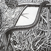 Ragged Bright Degrees