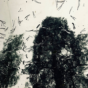 Fragments II: Collected Refrains From Lost Thoughts