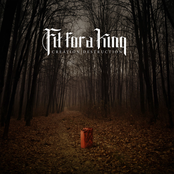 Creation / Destruction