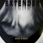 Extender