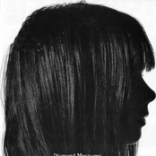 Let's Make A Vow Promotion Copy