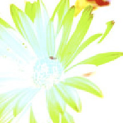 TU M'P3 Soundtracks For Images