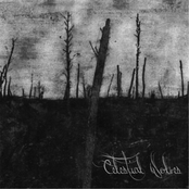 Silent Noise by Celestial Wolves