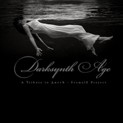 Darksynth Age (A Tribute To ДжетЪ - FeamalE Project) [VA] (2010)