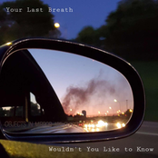 Wouldn't You Like to Know