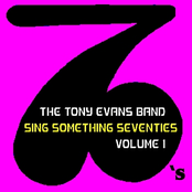 Sing Something Seventies, Volume 1
