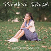 Teenage Dream - Single