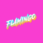 Doom Flamingo: Flamingo