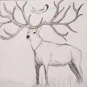 Shot from a Cannon into Heaven's Great, Open Mouth