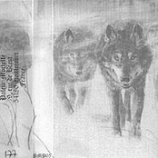 Dark Opus / Darvulia