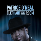 Elephant In The Room