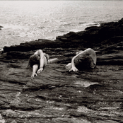 Like Spitting Out Copper