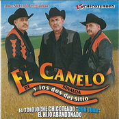 15 Chicoteadas