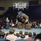 Box the Beast