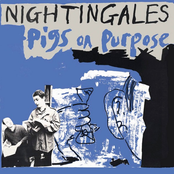 Blisters by The Nightingales