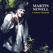 The Golden Afternoon by Martin Newell
