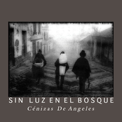 Cénizas De Angeles