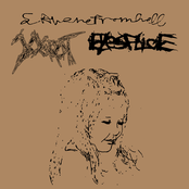 THE GAY COWBOY SPLIT