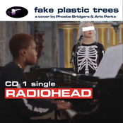 Fake Plastic Trees