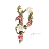 Polyphia: Muse