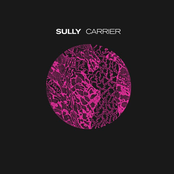 It's Your Love by Sully