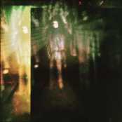 Last Night I Dreamt I Was Flying - Single