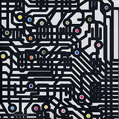 What We Did In The Afternoons