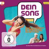 Dein Song 2013