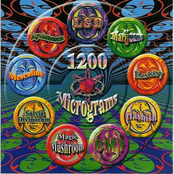 Ayahuasca by 1200 Micrograms