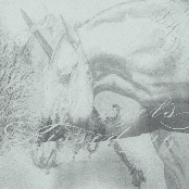 Where The Angels Kissed Me