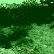 Doomy Encounters Of The Heaviest Kind