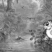 Suojele luontoa - ihmistäkin