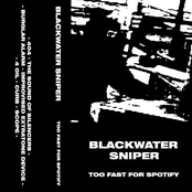 TOO FAST FOR SPOTIFY