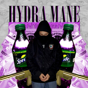 hydra mane