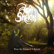 Near The Fangorn's Forest