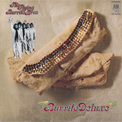 High Fashion Queen by The Flying Burrito Brothers