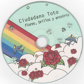 Flores, Brillos y Arcoiris