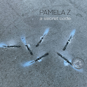 Pamela Z: A Secret Code