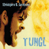 Tungl