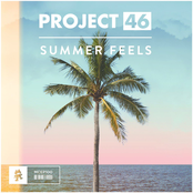 Summer Feels