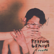 Never Did by Perfume Genius