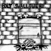 BOLT SWALLOWER(L.P.)