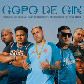 Copo de Gin